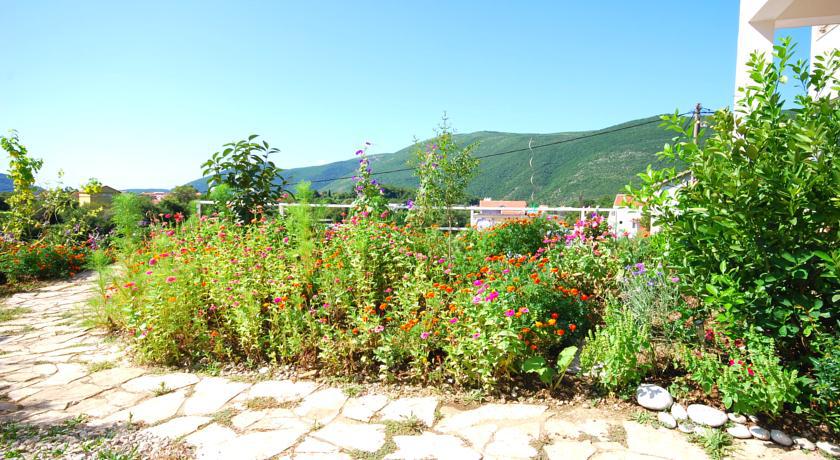 Jaz Apartament *